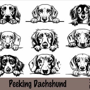 Könnte beinhalten: Ein Satz von neun Schwarzweißillustrationen von Dackeln, die über eine Oberfläche schauen. Die Dackel sind im Cartoon-Stil mit übertriebenen Merkmalen gezeichnet. Der Text "Peeking Dachshund" befindet sich am unteren Rand des Bildes.
