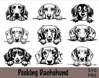 Peeking Dachshund SVG and PNG Bundle | Peeking Paws, Dog Breed, K-9, Animal Pet, Puppy Canine Pedigree Logo, Digital Download, Long Haired