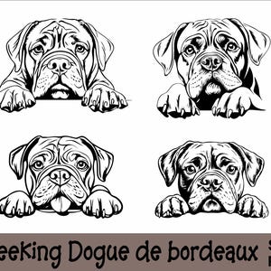 Gluren Bordeauxdog SVG- en PNG-bundel Peeking Paws, hondenras K-9 dier huisdier puppy honden stamboom logo digitale download