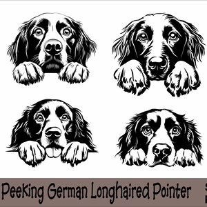 May include: Black and white illustration of a German Longhaired Pointer dog peeking over a surface with its paws in the air. The dog is looking directly at the viewer.