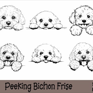 Gluren Bichon Frisé SVG en PNG bundel gluren poten, hondenras K-9 dier huisdier puppy honden stamboom logo digitale download