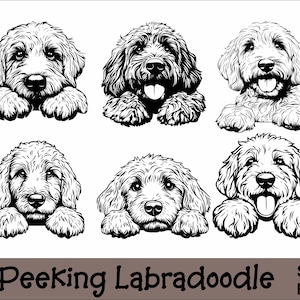 Gluren Labradoodle SVG en PNG-bundel gluren poten, hondenras K-9 dier huisdier puppy honden stamboom logo digitale download