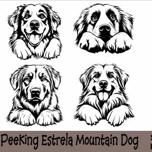 Peeking Estrela Sennenhund SVG und PNG Bundle Peeking Paws, Hunderasse K-9 Tier Haustier Welpe Canine Pedigree Logo Digitaler Download