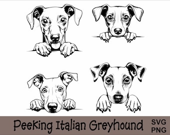 Op de afbeelding: Zwart-witte illustratie van een Italiaanse windhond die over een oppervlak kijkt. De hond heeft grote oren en een lange snuit. De afbeelding is geschikt voor gebruik als digitaal download voor knutselprojecten.