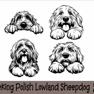 Könnte beinhalten: Vier Schwarzweiß-Illustrationen von Polnischen Niederland-Schäfern, die von einer Oberfläche aus schauen. Die Hunde sind in einer einfachen, stilisierten Art und Weise gezeichnet.