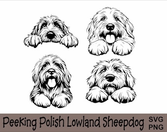 Kikande polsk låglandshund SVG och PNG-paket Kikande tassar, hundras K-9 djur husdjur valp hund stamtavla logotyp digital nedladdning
