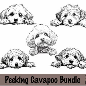 May include: A black and white illustration of five Cavapoo dogs peeking over a ledge. The dogs have fluffy fur and expressive eyes. The text "Peeking Cavapoo Bundle" is at the bottom.