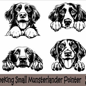 Gluren kleine Munsterlander aanwijzer SVG en PNG bundel gluren poten, hondenras K-9 dier huisdier puppy honden stamboom logo digitale download