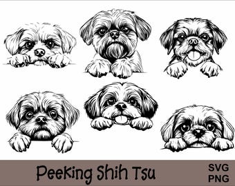 Op de afbeelding: Zes zwart-wit illustraties van Shih Tzu honden die over een oppervlak kijken. De honden zijn getekend in een eenvoudige, cartoonachtige stijl.
