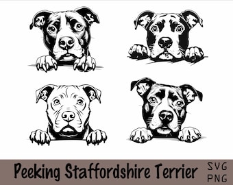Paquete de imágenes SVG y PNG de American Staffordshire Terrier asomando. Raza de perro K-9. Animal, mascota, pedigrí canino de cachorro. Descarga digital.