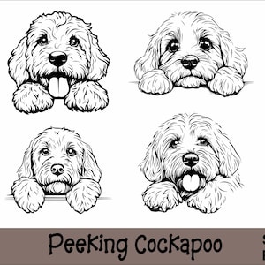 Gluren Cockapoo SVG- en PNG-bundel Peeking Paws, hondenras K-9 dier huisdier Puppy Canine stamboom Logo digitale download