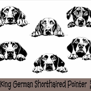 Peeking German Shorthaired Pointer SVG and PNG Bundle | Peeking Paws, Dog Breed, K-9, Animal Pet, Puppy Canine Pedigree, Digital Download