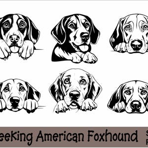 May include: Six black and white illustrations of American Foxhounds peeking over a surface. Each dog has a different expression.