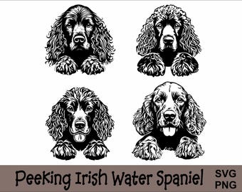 Op de afbeelding: Vier zwart-wit illustraties van Irish Water Spaniels die over een oppervlak kijken. Elke hond heeft een andere uitdrukking.