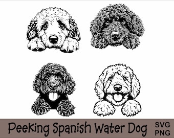 Peeking Spanish Water Dog SVG and PNG Bundle Peeking Paws, Dog Breed K-9 Animal Pet Puppy Canine Pedigree Logo Digital Download
