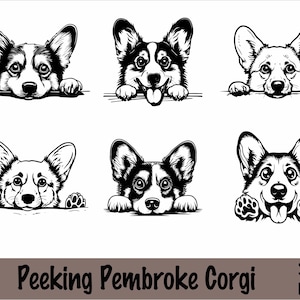 May include: Six black and white illustrations of Pembroke Welsh Corgis peeking over a surface. The Corgis are shown in various poses, including looking straight ahead, smiling, and sticking their tongues out.