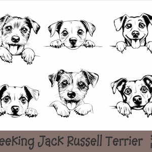 Gluren Jack Russell Terrier SVG en PNG bundel Peeking Paws, hondenras K-9 dier huisdier puppy Canine stamboom logo digitale download