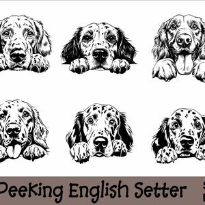 Pode incluir: Seis ilustrações em preto e branco de cães setter inglesi espiando por cima de uma superfície. Cada cão tem uma expressão e uma pose diferentes.