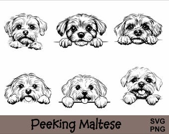 以下が含まれることがあります： 6匹のマルチーズ犬が線から覗いている白黒イラスト。犬は詳細な毛並みと顔の表情で描かれています。「Peeking Maltese」の文字が下にあり、右側に「SVG PNG」と書かれています。