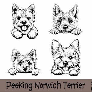 以下が含まれることがあります： 表面から顔をのぞかせているノーウィッチテリアの白黒イラストが4つあります。それぞれの犬は異なる表情をしています。