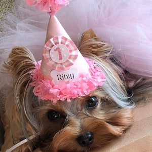 Girl Dog Birthday Hat Personalized, Custom Pet Supplies, Puppy Party Decorations Photo Prop, Gotcha Day Gift