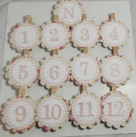 Cream Floral Photo Clips 13 Months, Baby Toddler Girl First Birthday, 1st year yearly picture memory banner Il_570xn