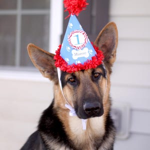 Boy Dog Birthday Hat Personalized, 1st First Gotcha Day Party, Puppy Accessories, Custom Pet Supplies zdjęcie 7