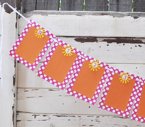 Girl Sun 12 Month Photo Banner, 1st First Year Picture Frame Memory Bunting, You are My Sunshine Birthday Baby Toddler Decor Decoration Il_570xn