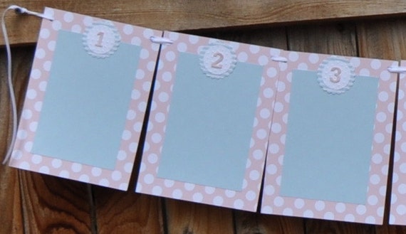 Girl 12 Month Photo Banner Shabby Chic Party Decor, 1st First Year Yearly Monthly Picture Frame Memory Bunting Il_570xn
