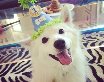 男の子の犬の誕生日用帽子（名入れ可）、初めてのお迎え記念日パーティー、子犬用アクセサリー、カスタムペット用品