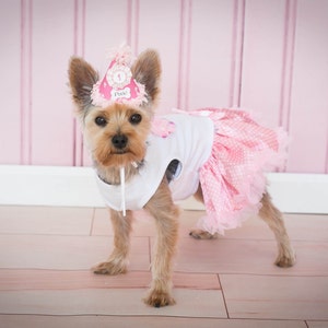 May include: A small, brown and white dog wearing a pink and white tutu and a pink birthday hat with the number "1" on it. The dog is standing on a light wood floor in front of a pink wall.