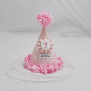Girl Cat Birthday Hat Personalized, Pet Party Hat, Gotcha Day Kitty Celebration Accessory, Animal Photo Prop