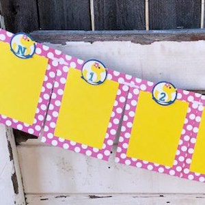 Rubber Ducky 12 Month Photo Banner, 1st Year Picture Frame Memory Bunting, First Birthday Baby Girl, Duck Party Decor Decorations