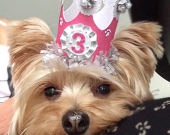 Puede incluir: Un perro pequeño, marrón y blanco con una corona rosa y blanca con un número "3" plateado. El perro está mirando a la cámara.