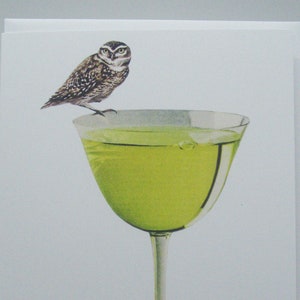 Owl on Chartreuse Cocktail Glass Greeting Card
