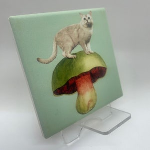 Cat on Mushroom Coaster-Ceramic/Cork Backed-Housewarming/Holiday Gift image 5