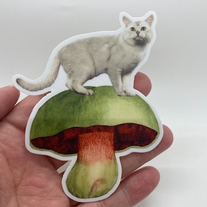 May include: A white cat sits atop a green and red mushroom. The mushroom has a white stem and a green cap with a red underside.
