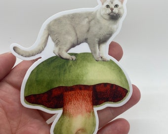 Cat on Mushroom Vinyl Sticker-Stocking Stuffer-Birthday Gift-Waterproof-Hydroflask Sticker