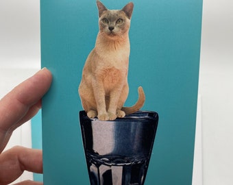 Silver Point Short Hair Cat on Shot Glass Greeting Card-Vintage Cocktails