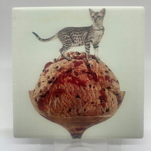 Toyger Gatto su paletta per gelato, in ceramica/con supporto in sughero, per l&#39;inaugurazione della casa/regalo per le vacanze