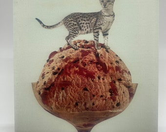 Toyger Cat on Ice Cream Scoop-Ceramic/Cork Backed-Housewarming/Holiday Gift