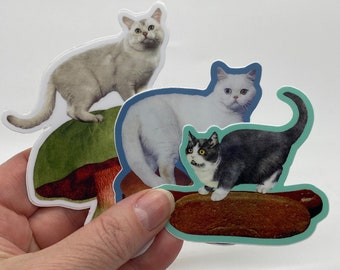 3 Pack! Cat on Hot Dog/Mushroom/Hamburgers Vinyl Stickers-Food Cats