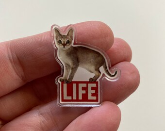 Anstecknadel-Katze Leben Acryl Pin-Geburtstagsgeschenk-Katzenliebhaber Geschenk-Katze Papa-Katze Mama-Fell Babys