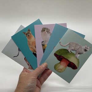 Juego de 3 tarjetas de felicitación-Todas las ocasiones-Cumpleaños-Despedida de soltera-Día de la madre-Día del padre-Gracias