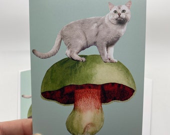 White Shorthair Cat on Green Mushroom Greeting Card