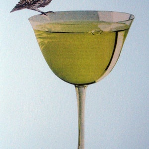 Owl on Chartreuse Cocktail Glass Greeting Card image 4