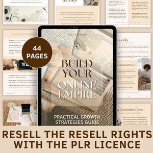 PLR Online business ebook, Done for you ebook template, Done for you content, Online strategies ebook, Business help, PLR digital product