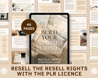 PLR Online business ebook, Done for you ebook template, Done for you content, Online strategies ebook, Business help, PLR digital product