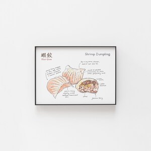 Shrimp Dumpling Archival Print