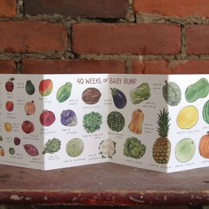 Carte d'accordéon 40 semaines de baby bump | Fruits et légumes pour baby shower